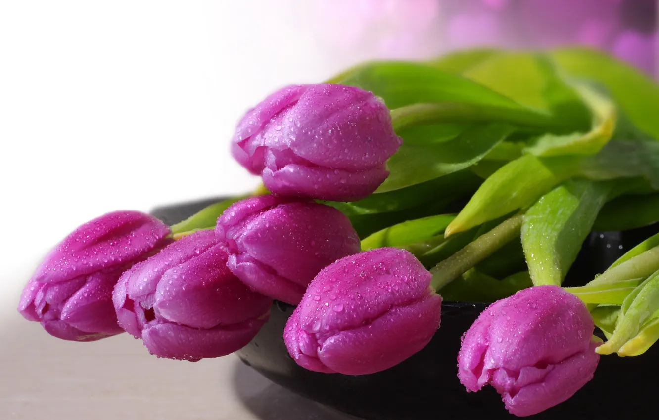 Photo wallpaper bouquet, tulips, droplets of water