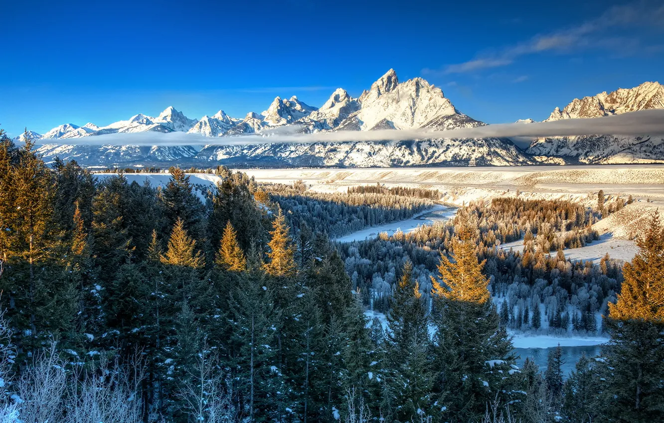 Photo wallpaper trees, landscape, mountains, nature