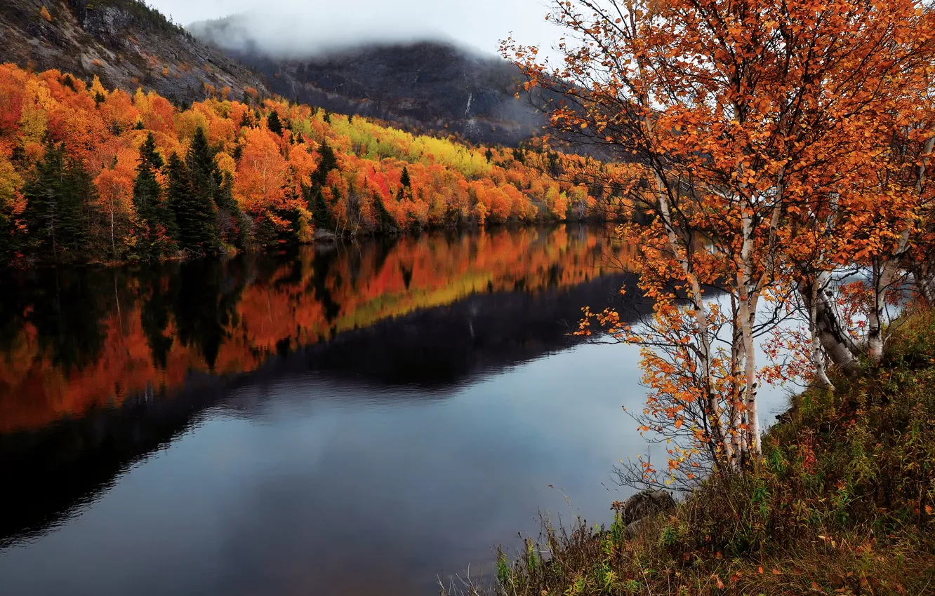 Photo wallpaper autumn, river, Canada, Humber River, Newfoundland and Labrador
