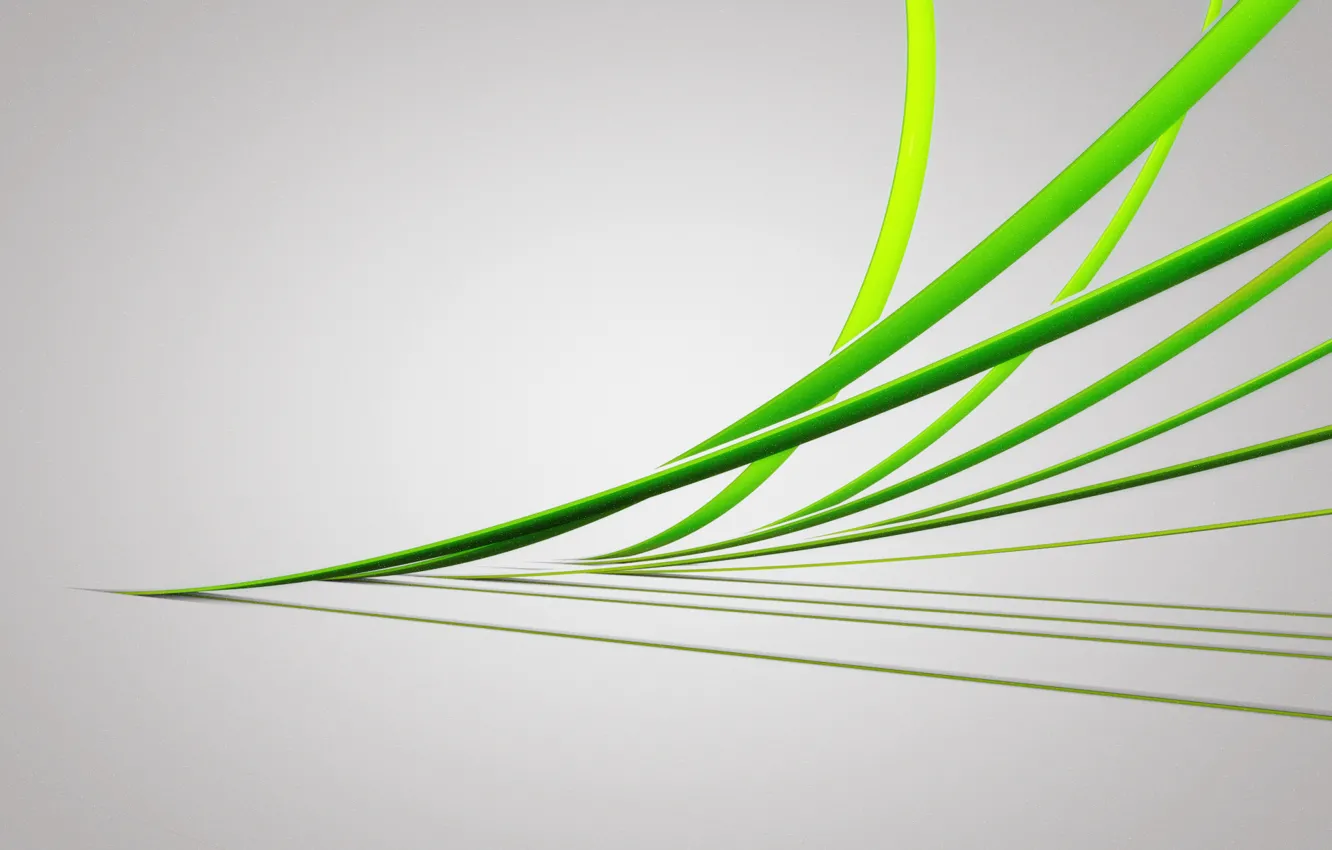 Photo wallpaper green, grey, lines