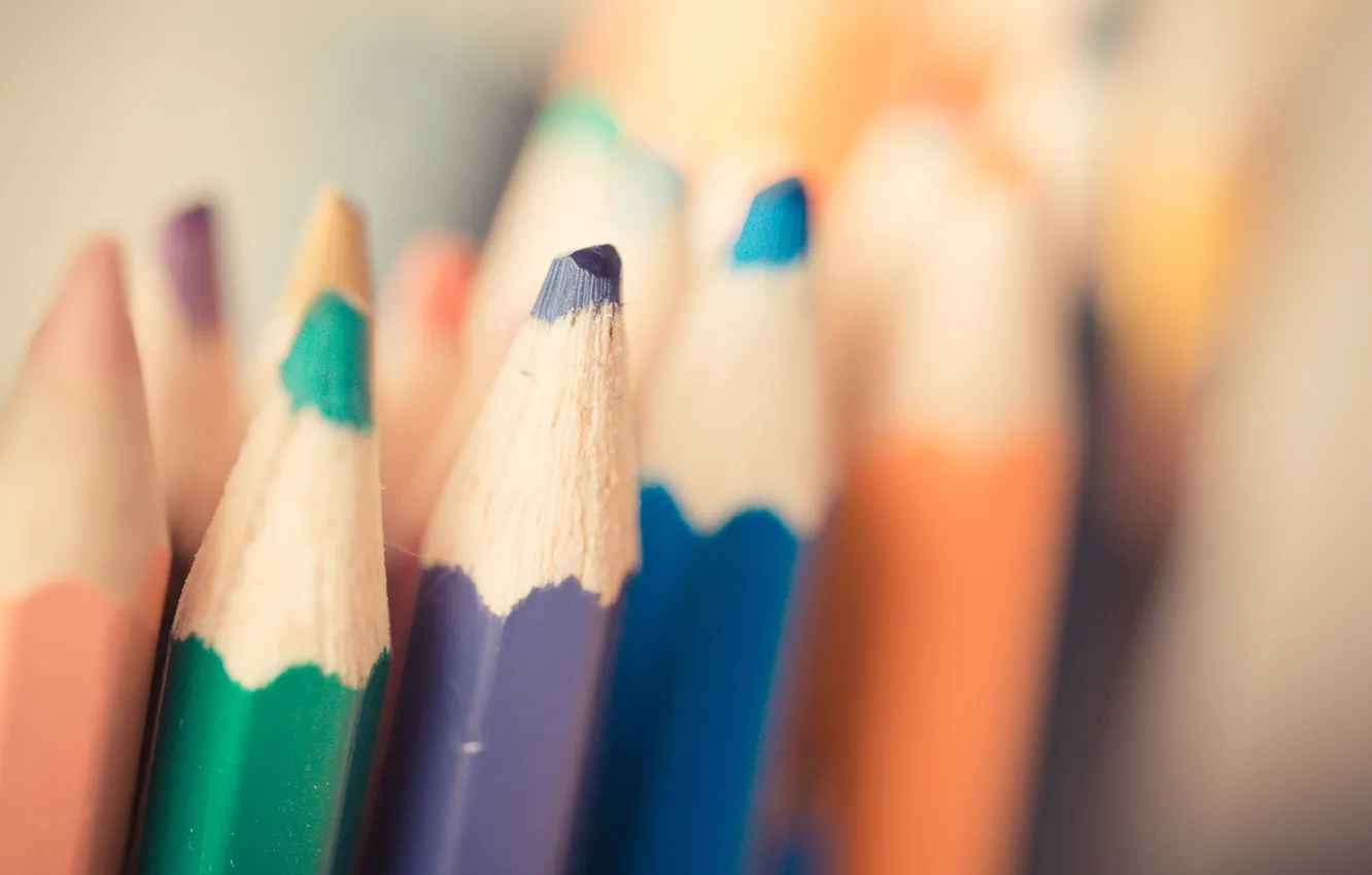 Photo wallpaper purple, blue, green, pencils