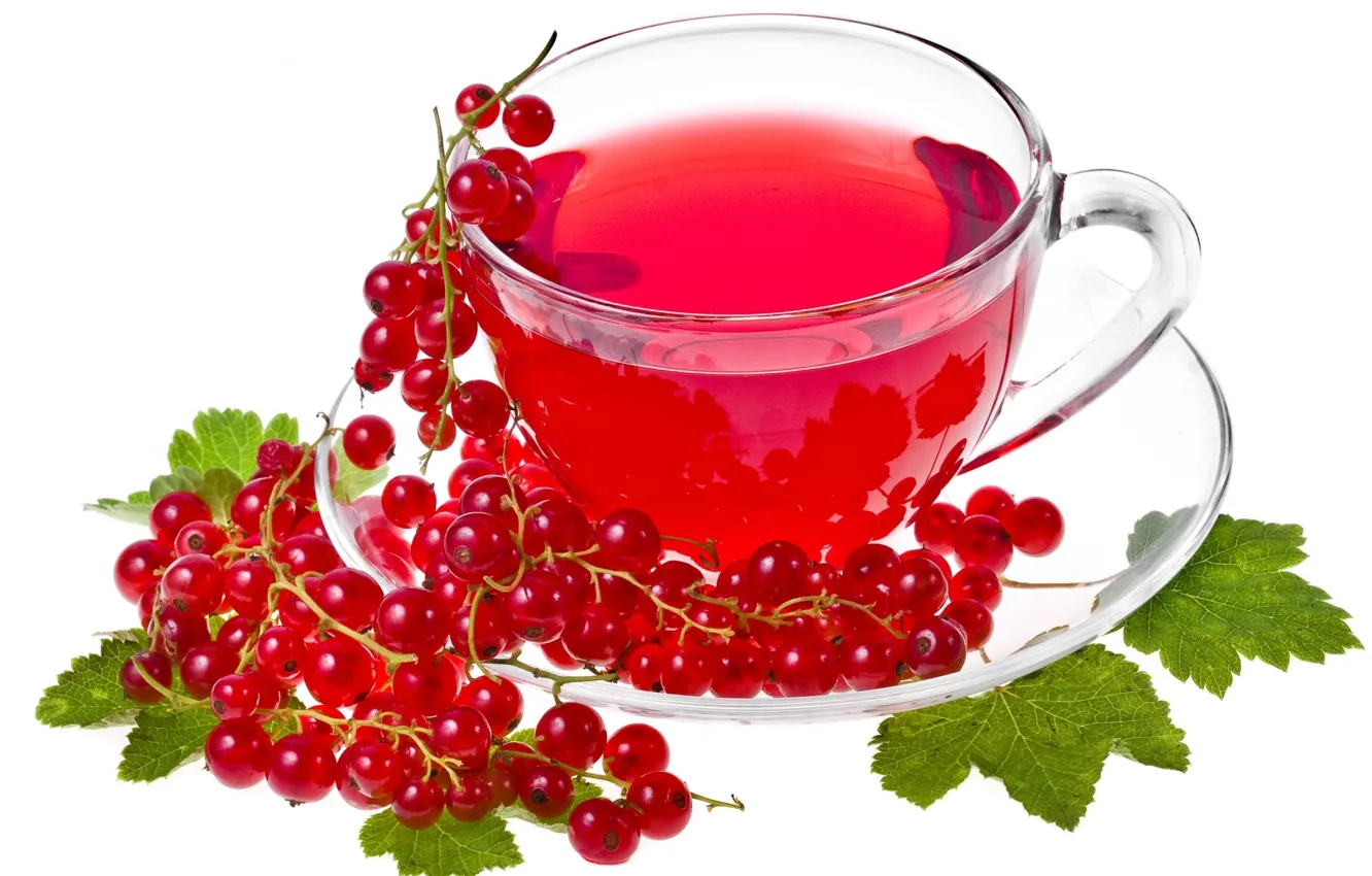 Photo wallpaper tea, white background, red, currants, tea, currant