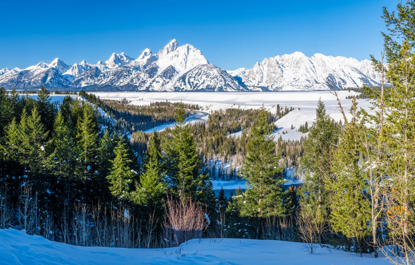 Photo wallpaper landscape, mountains, USA, Grand Teton National