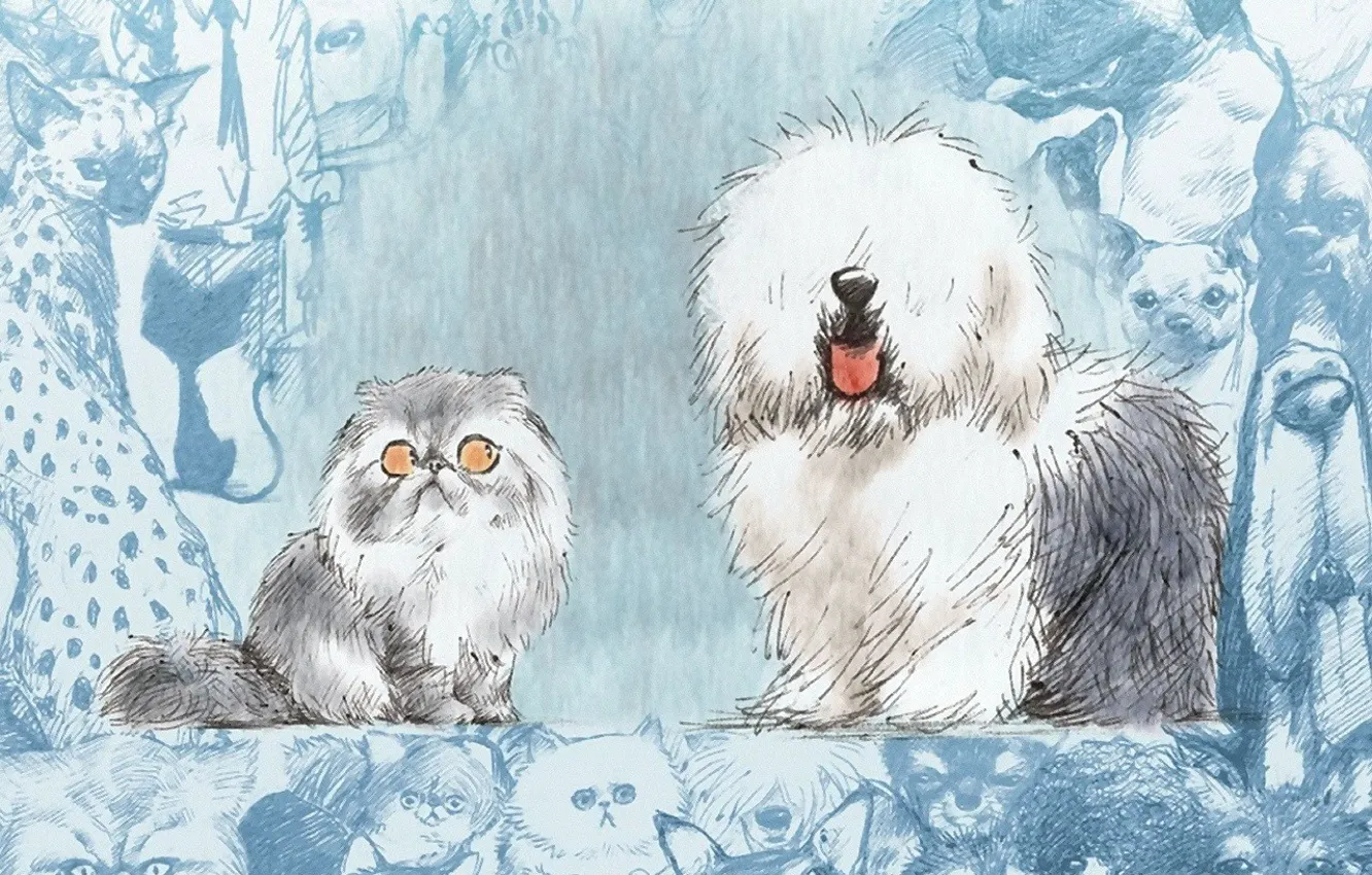 Photo wallpaper cat, figure, dog