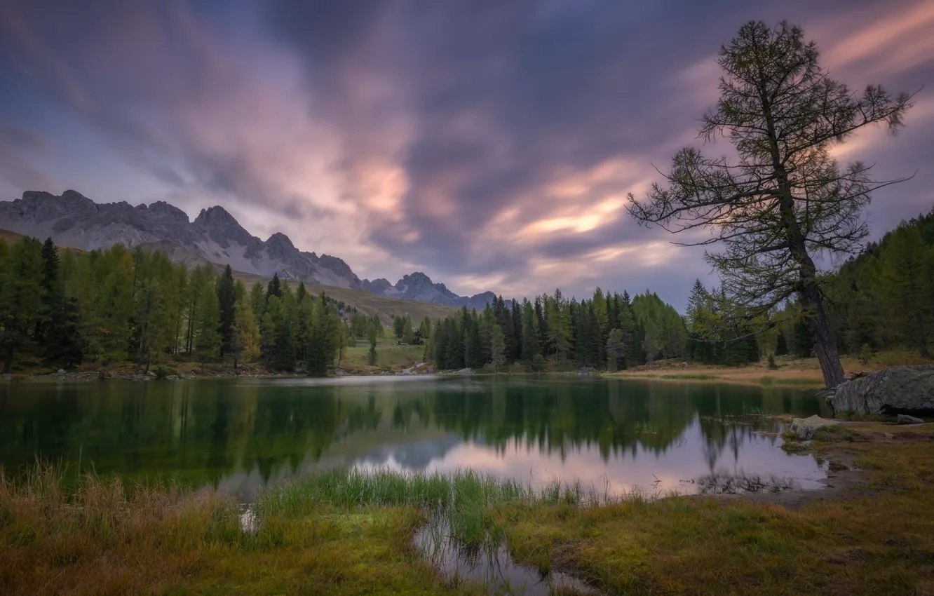 Photo wallpaper autumn, forest, the sky, grass, clouds, mountains, clouds, lake