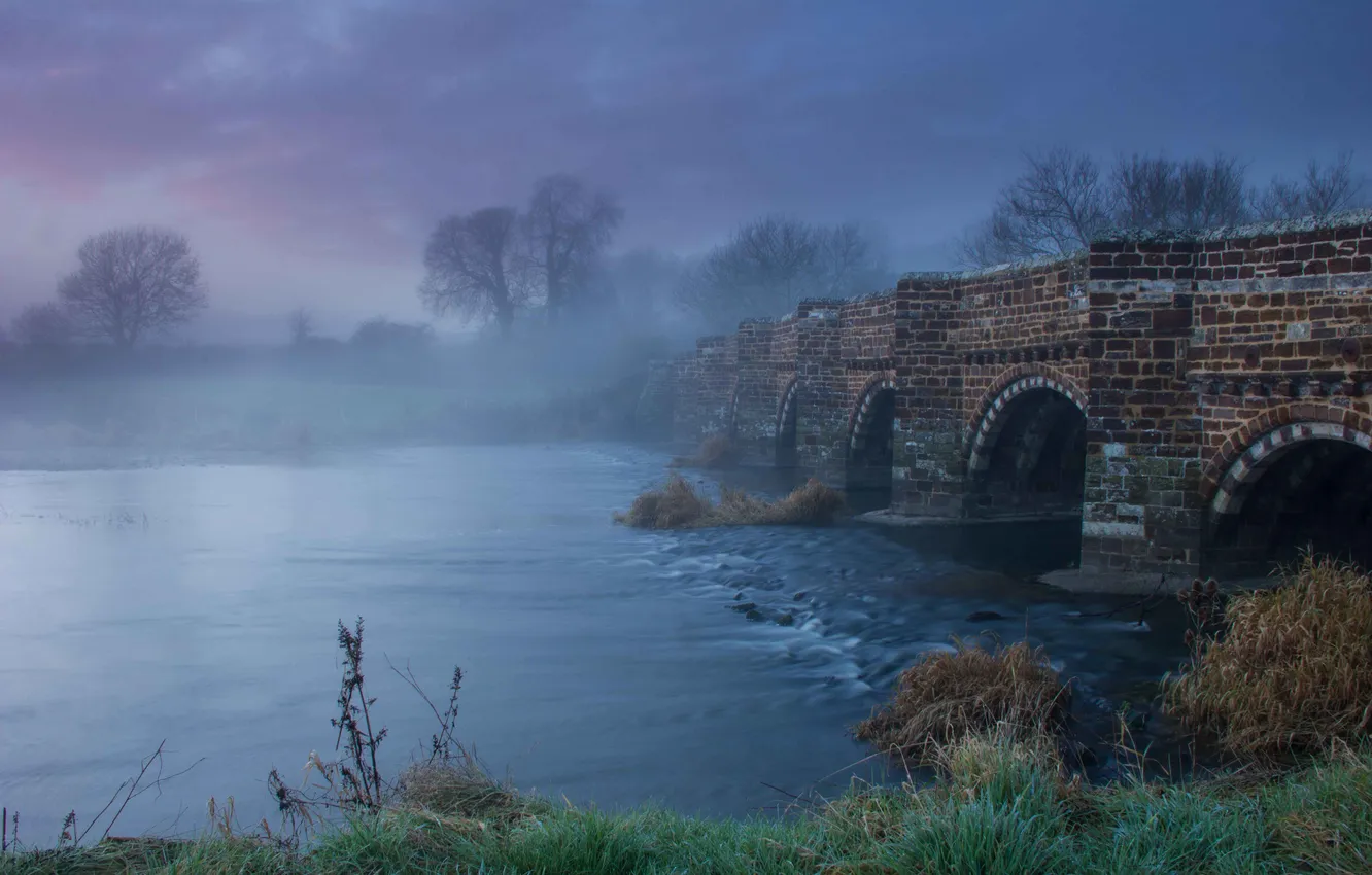 Photo wallpaper trees, bridge, fog, river, shore, arch, haze, pond