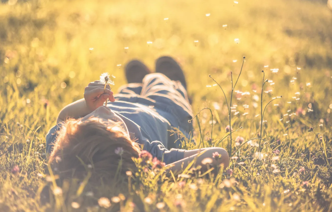 Photo wallpaper greens, grass, the sun, nature, background, mood, dandelion, boy