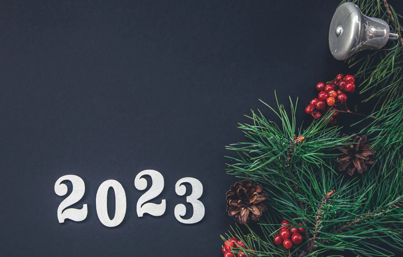 Photo wallpaper branches, berries, new year, fruit, Christmas, figures, grey background, bells