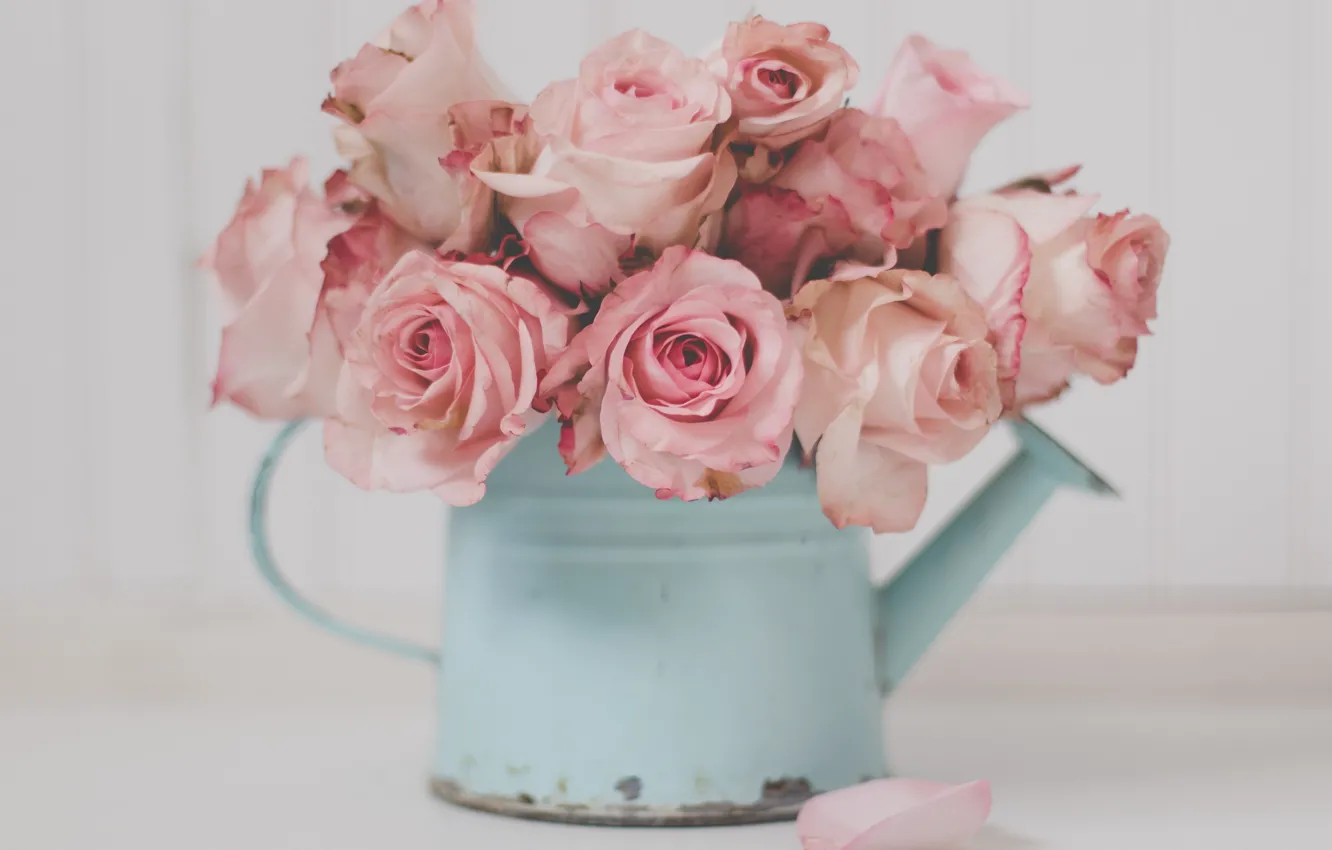 Photo wallpaper flowers, roses, bouquet, lake, pink, light background, buds