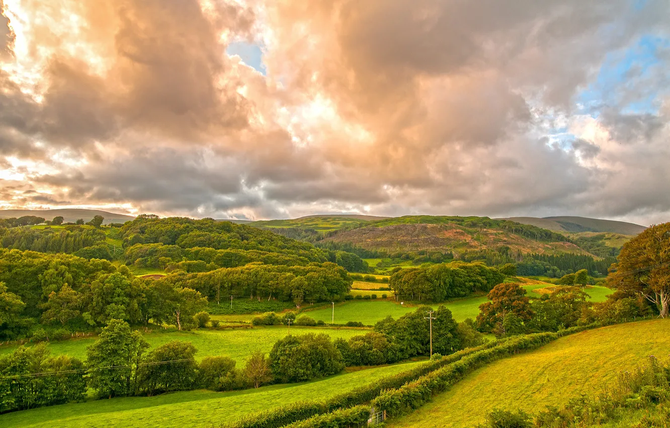 Photo wallpaper greens, field, grass, clouds, trees, hills, UK, Wales