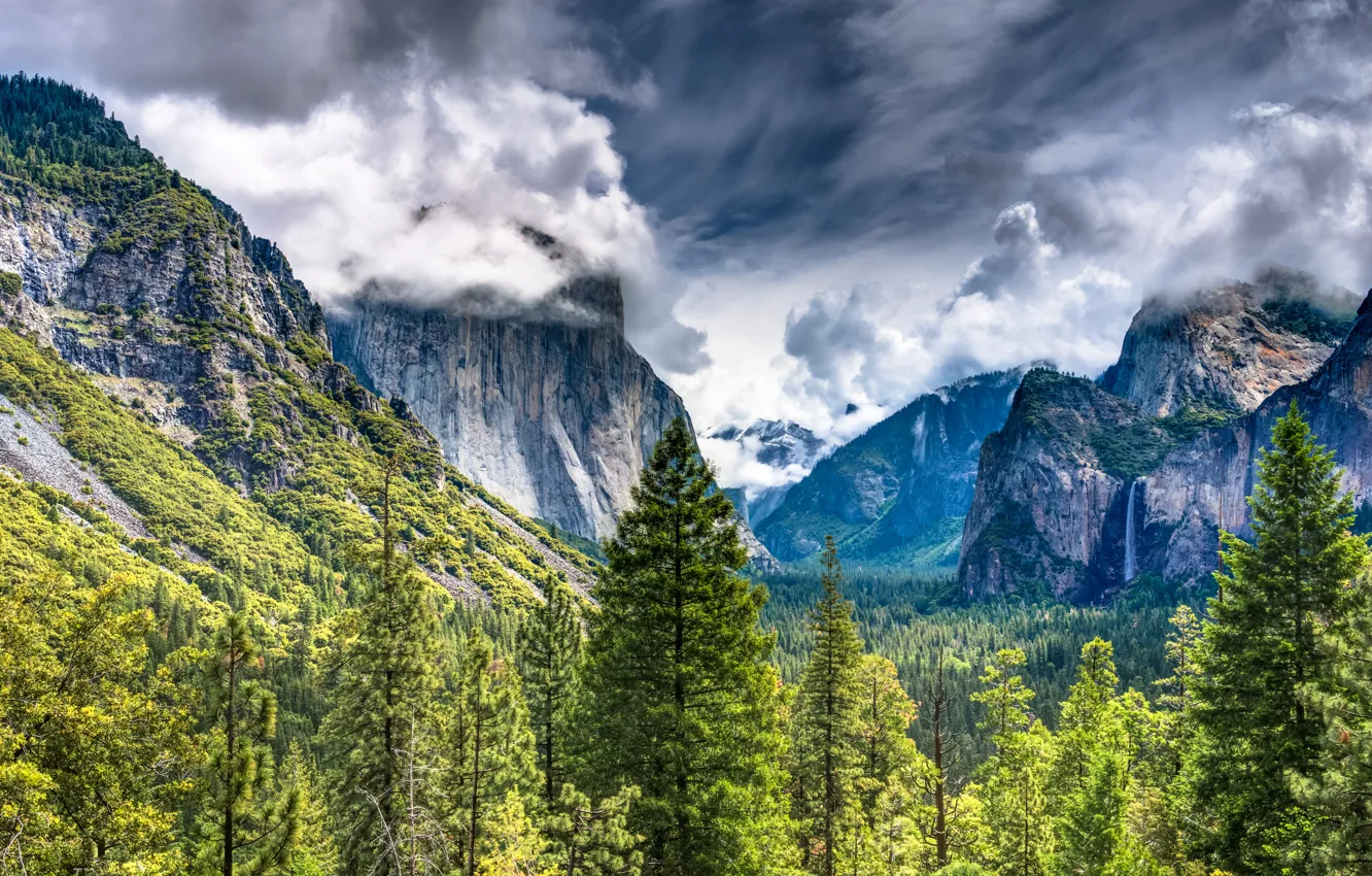 Photo wallpaper Mountains, Trees, Landscape, Yosemite National Park