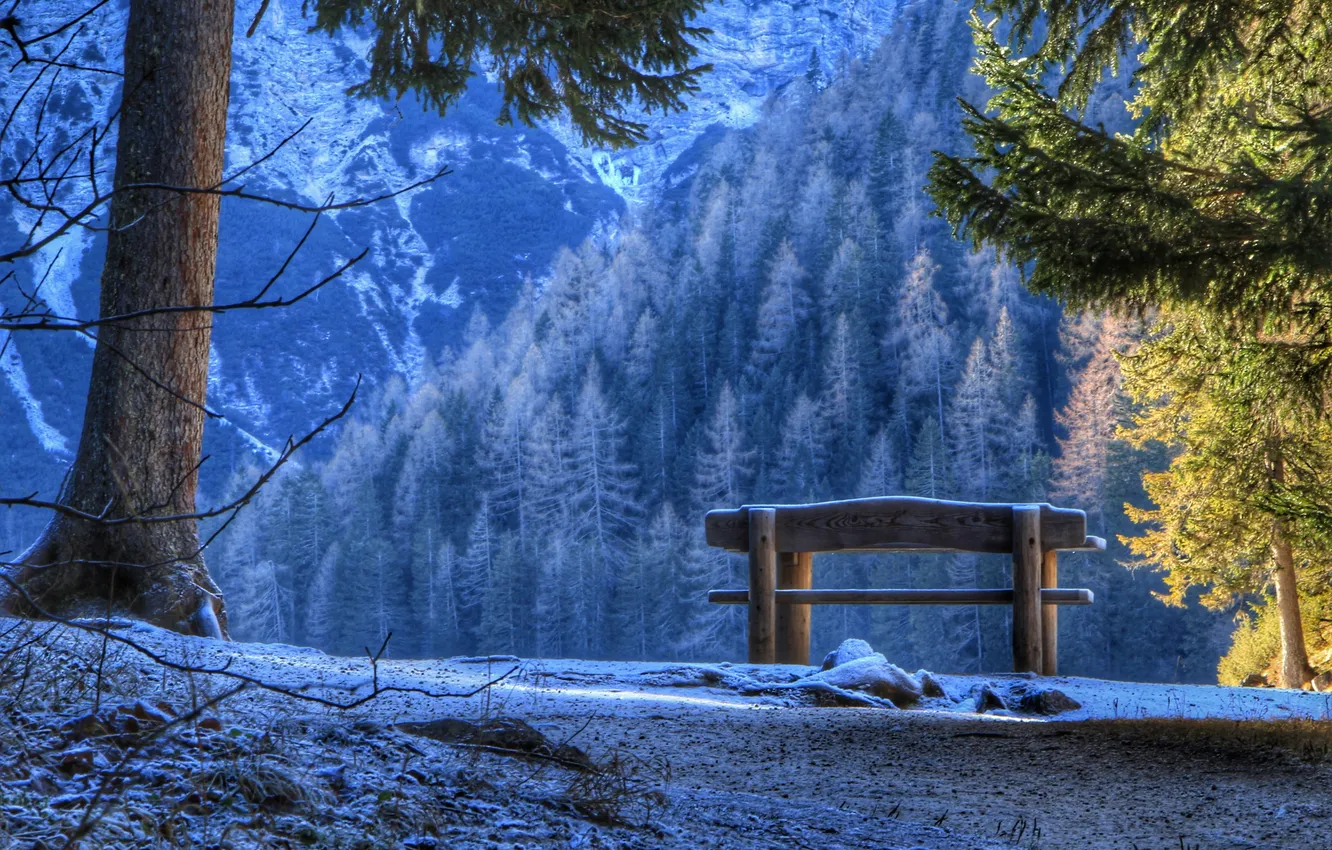 Photo wallpaper mountains, nature, bench