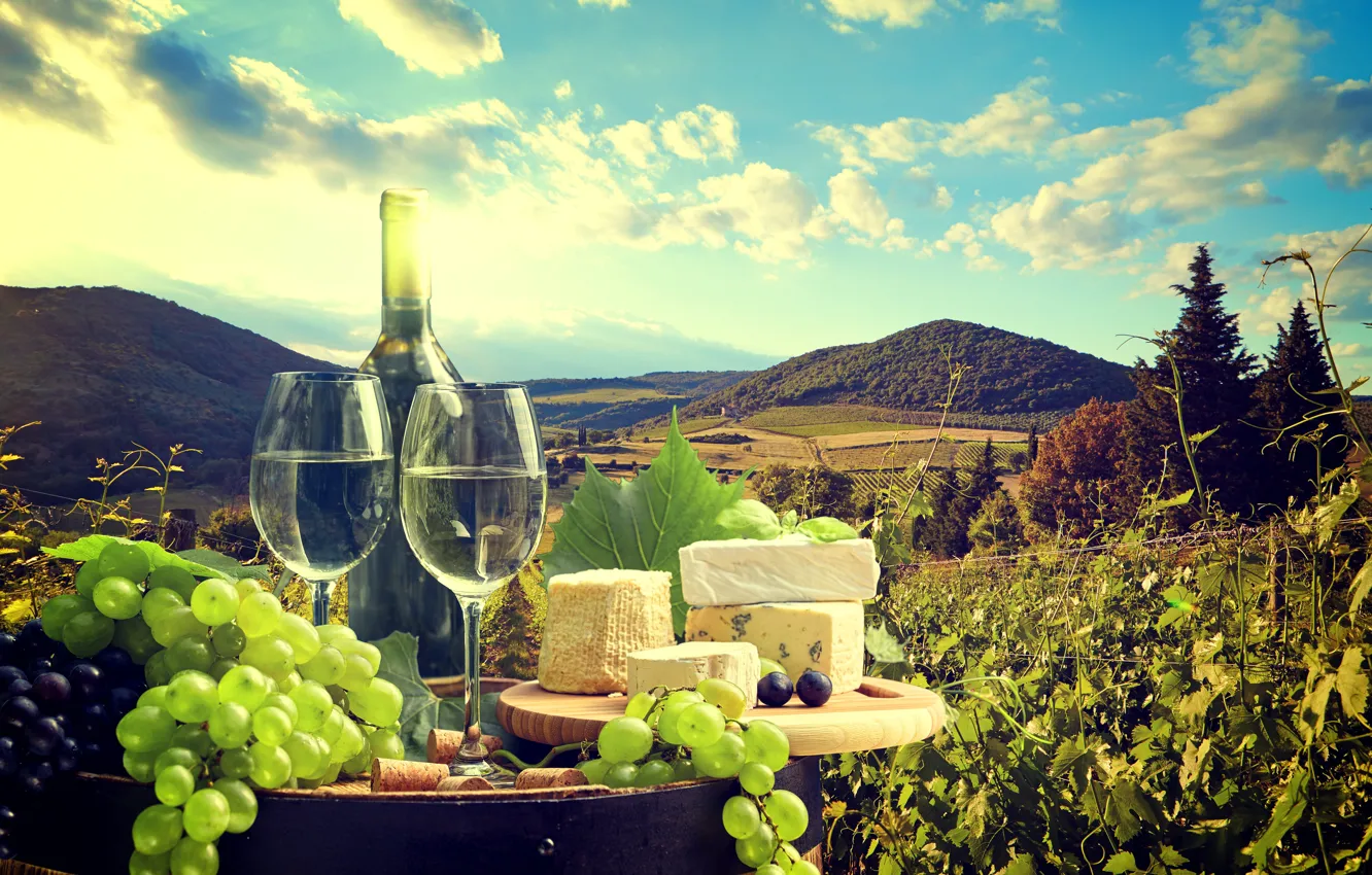 Photo wallpaper field, the sky, leaves, the sun, clouds, landscape, mountains, wine