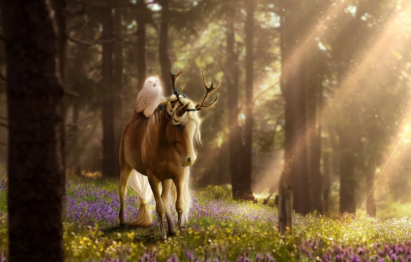 Photo wallpaper forest, flowers, nature, owl, horse, fantasy, by ellipsiem