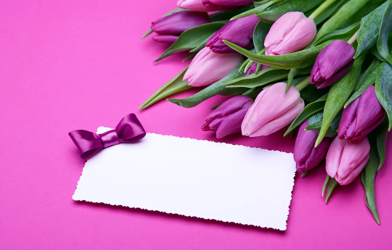 Photo wallpaper bouquet, gifts, tulips, love, pink, bow, fresh, pink