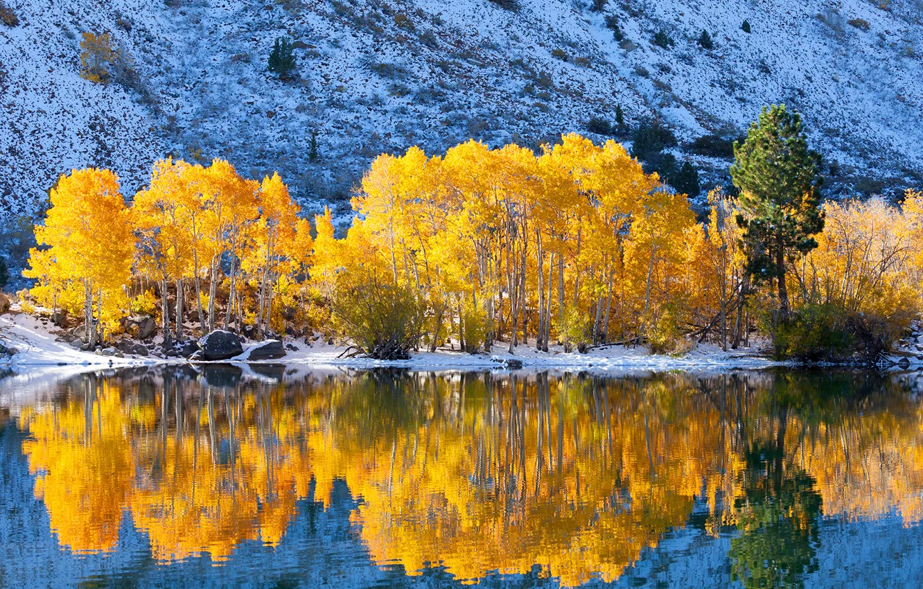 Photo wallpaper autumn, snow, trees, mountains, lake