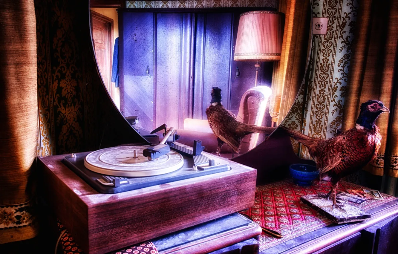 Photo wallpaper music, background, gramophone