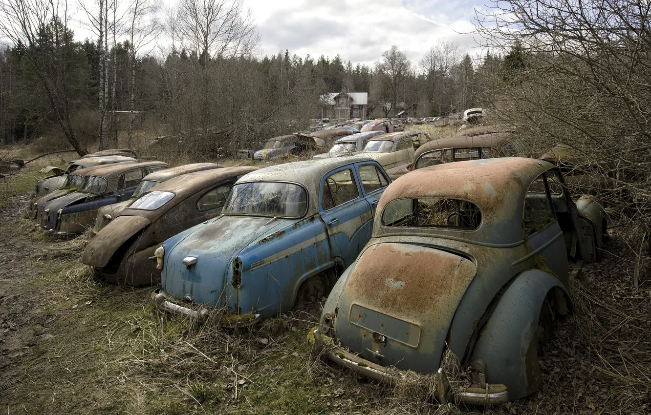 Photo wallpaper field, machine, scrap