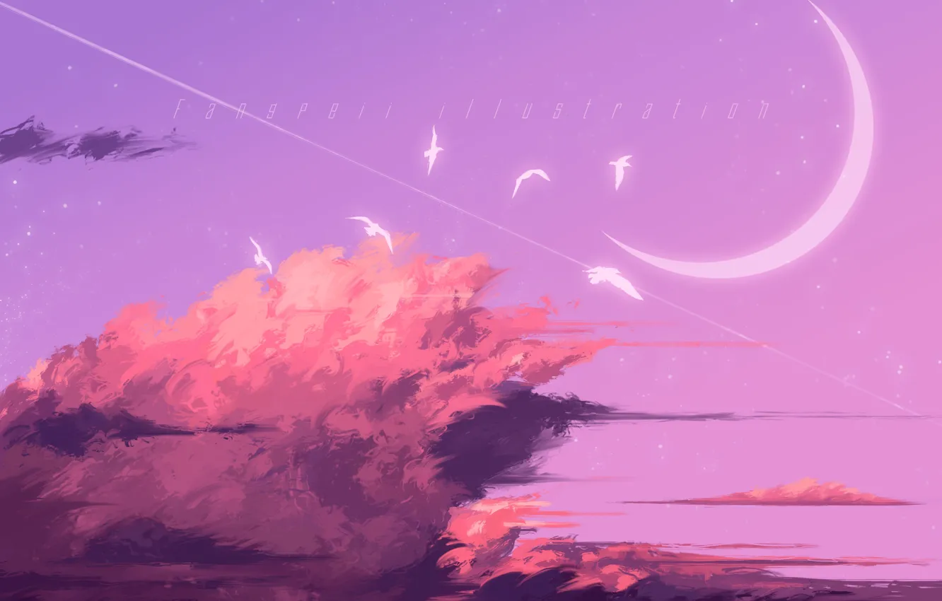 Photo wallpaper the sky, bird, Crescent