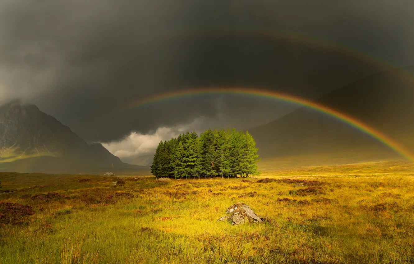 Photo wallpaper field, trees, mountains, rainbow