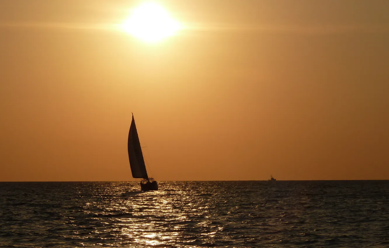 Photo wallpaper sea, the sun, the evening, sail
