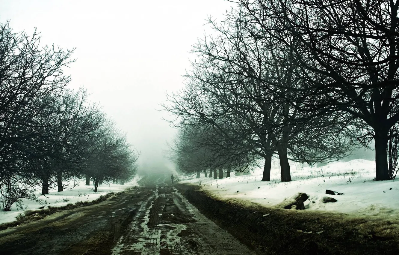 Photo wallpaper winter, road, snow, haze, traveler