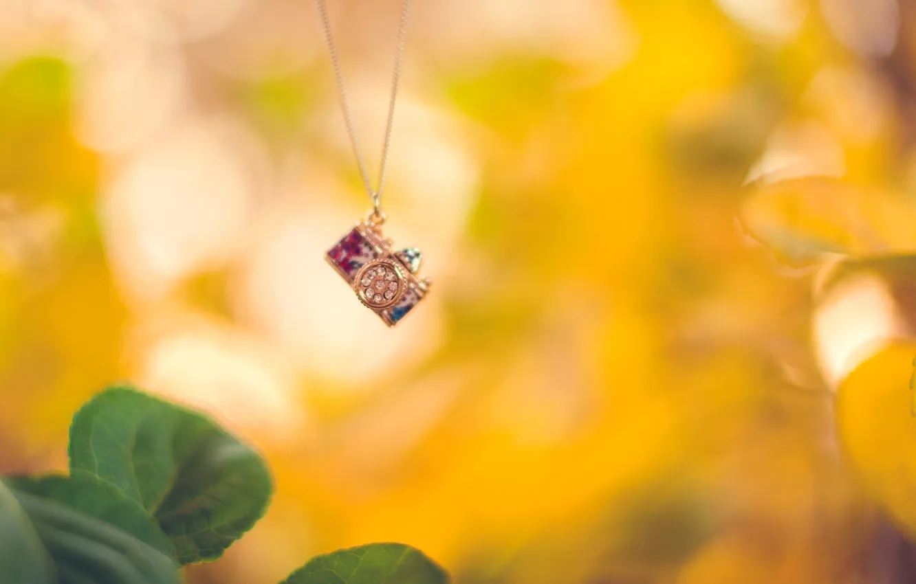 Photo wallpaper autumn, leaves, yellow, green, stones, background, the camera, pendant