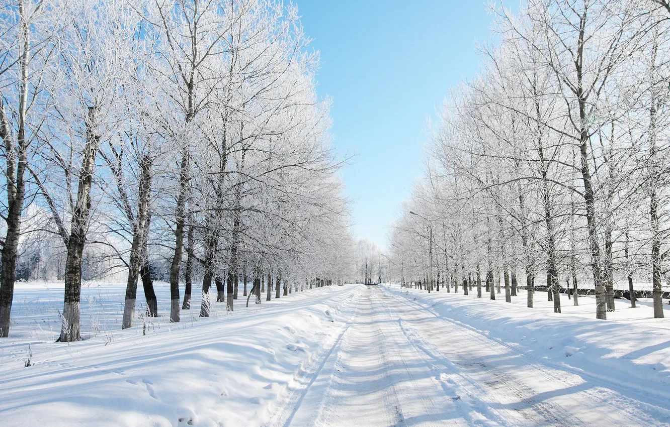 Photo wallpaper winter, road, forest