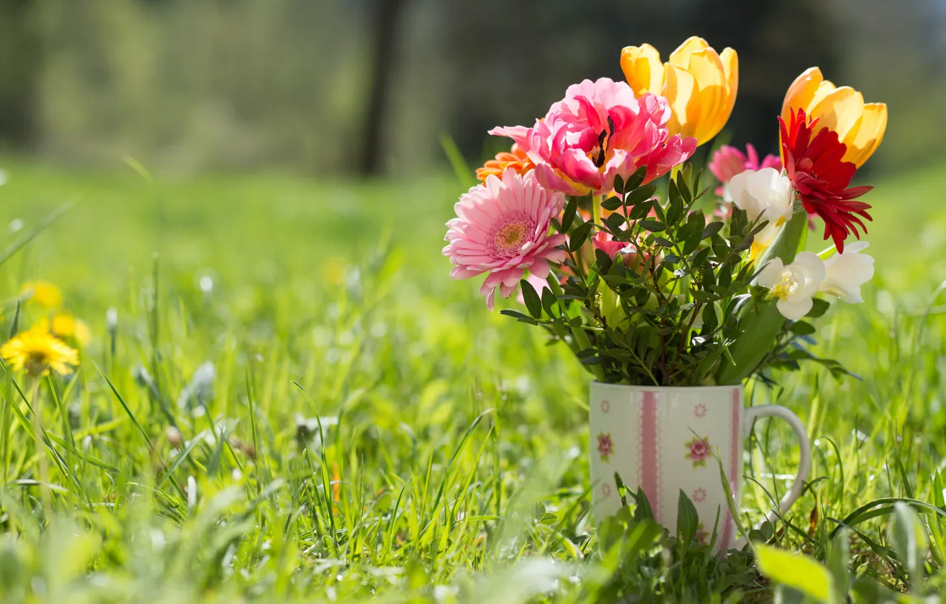 Photo wallpaper grass, bouquet, mug, tulips, gerbera