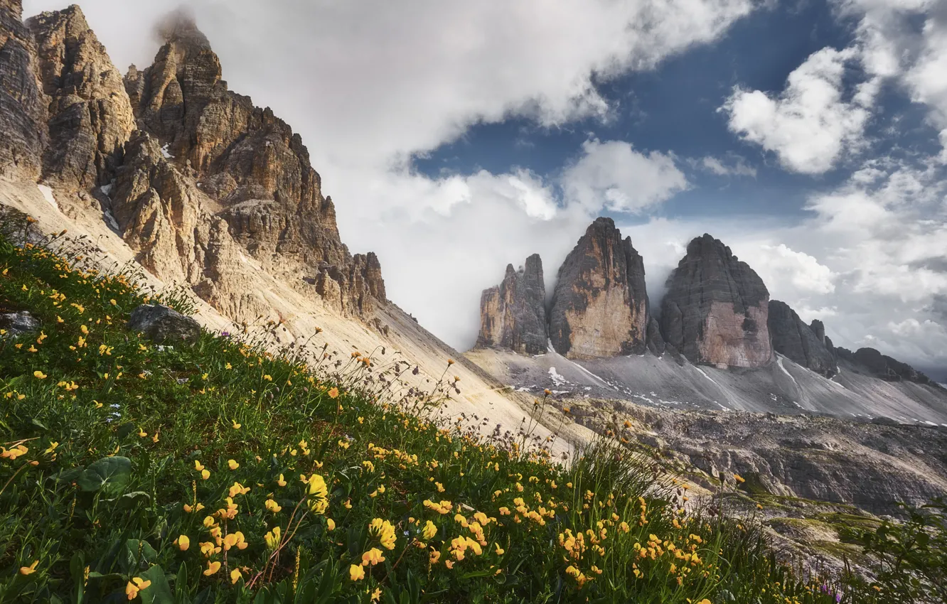 Photo wallpaper flowers, mountains, Alps, The Dolomites