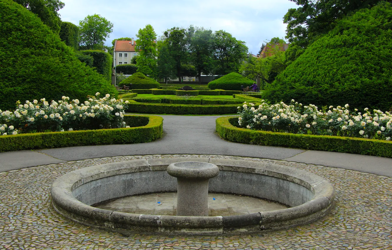Photo wallpaper park, roses, alley