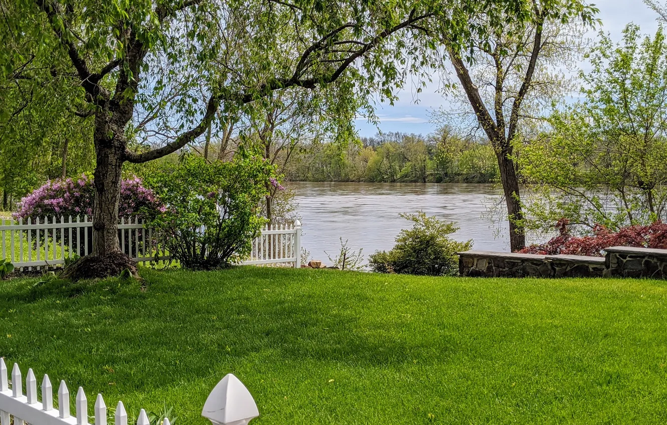 Photo wallpaper flowers, Park, river, the fence, IVA