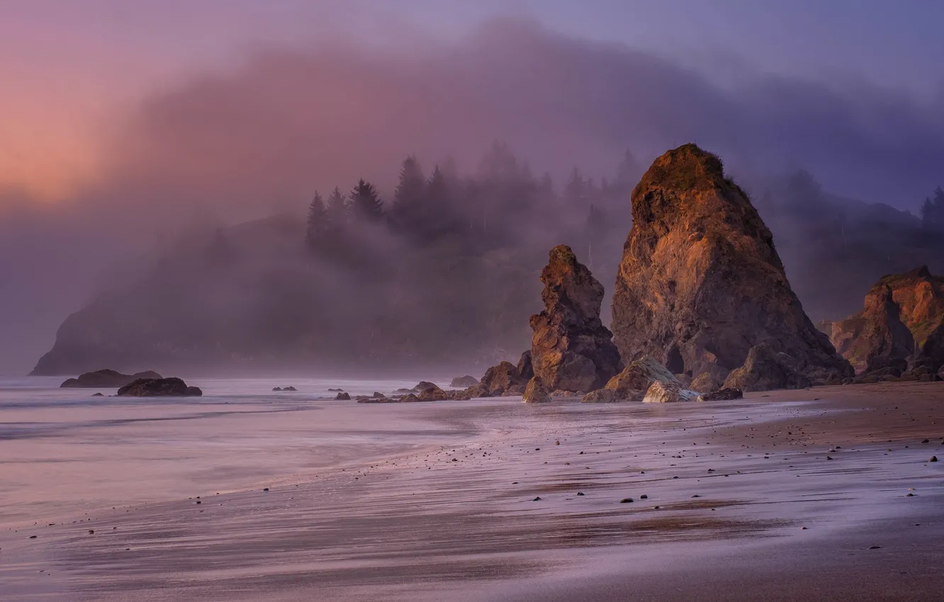 Photo wallpaper sand, sea, forest, beach, fog, stones, rocks, hills