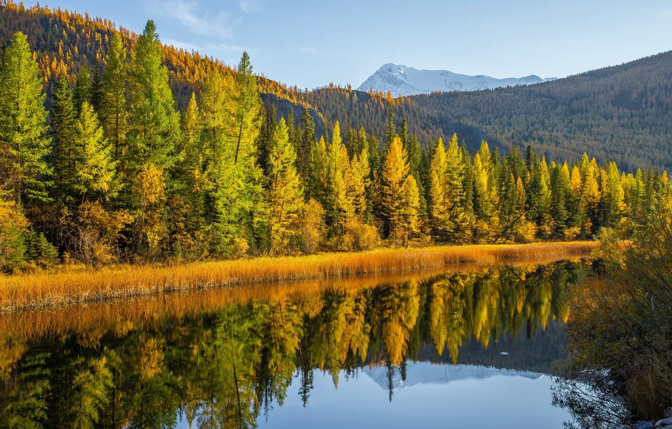 Photo wallpaper autumn, forest, trees, mountains, lake, reflection, Russia, Altay