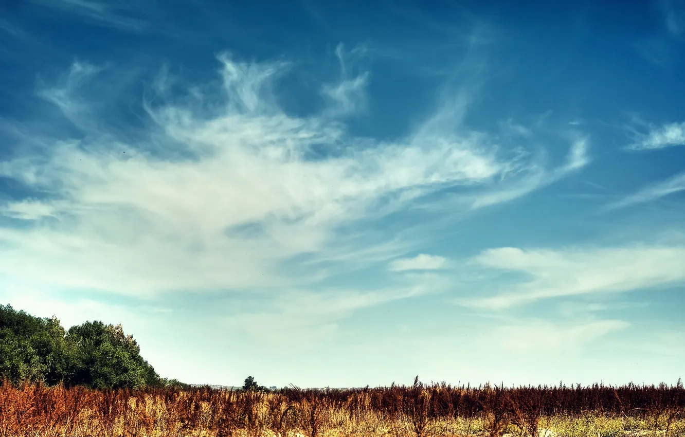 Photo wallpaper field, summer, the sky, the sun, clouds, nature, day