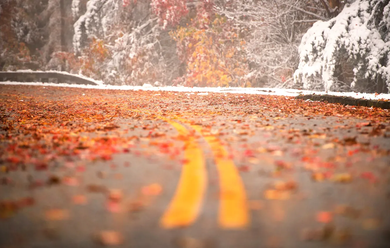 Photo wallpaper road, leaves, snow, turn