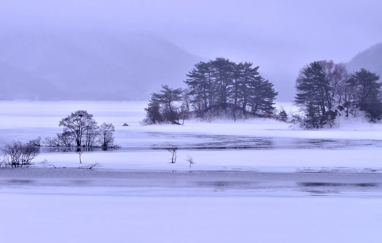 Photo wallpaper ice, winter, snow, trees, mountains, fog, lake, Islands