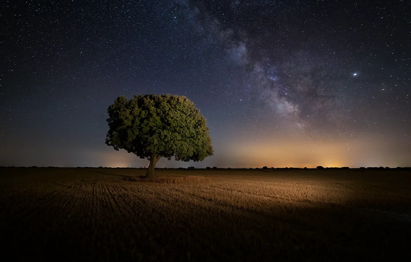 Photo wallpaper field, trees, night, Spain, starry sky