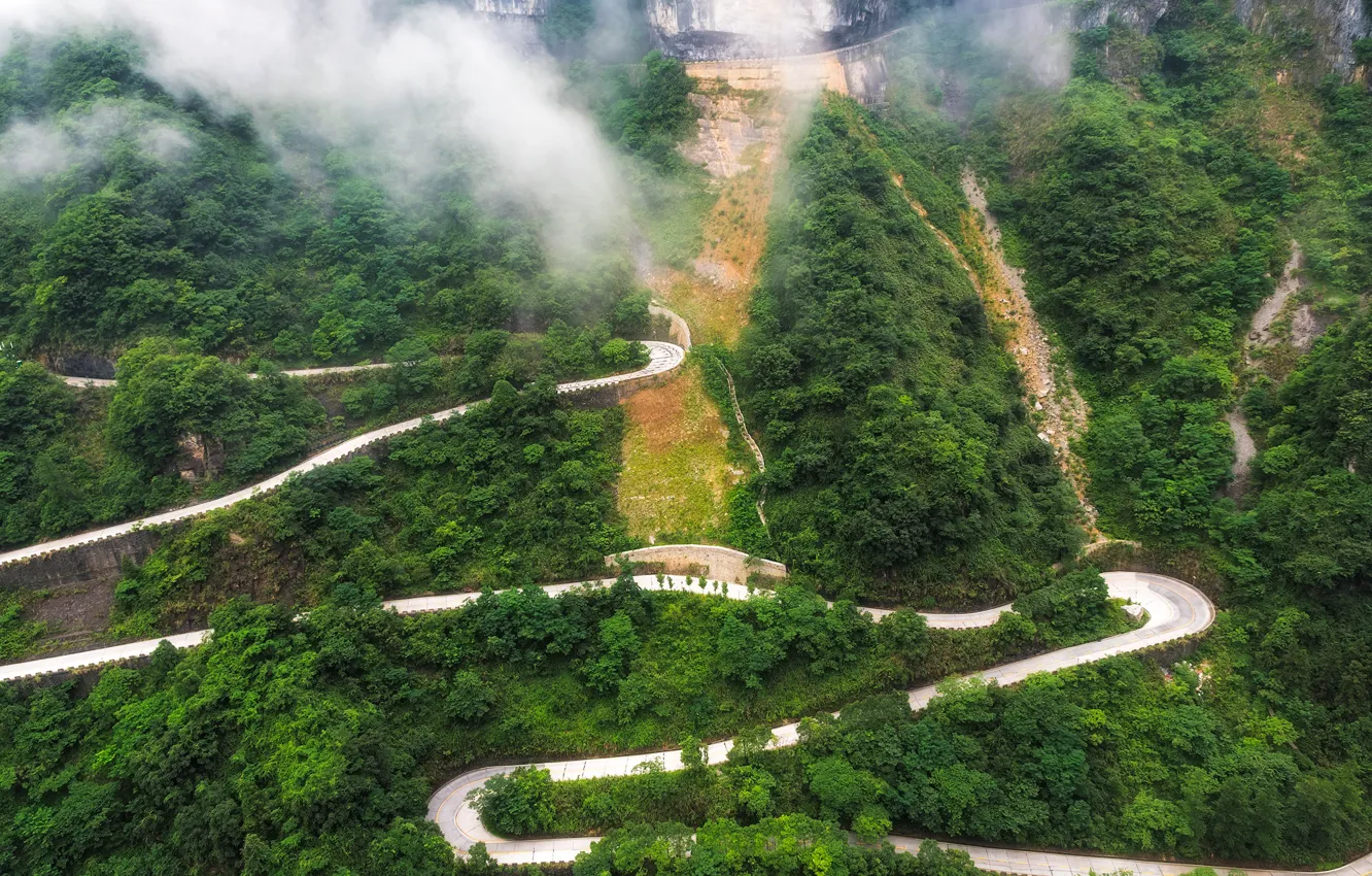 Photo wallpaper road, greens, forest, trees, mountains, fog, China, serpentine
