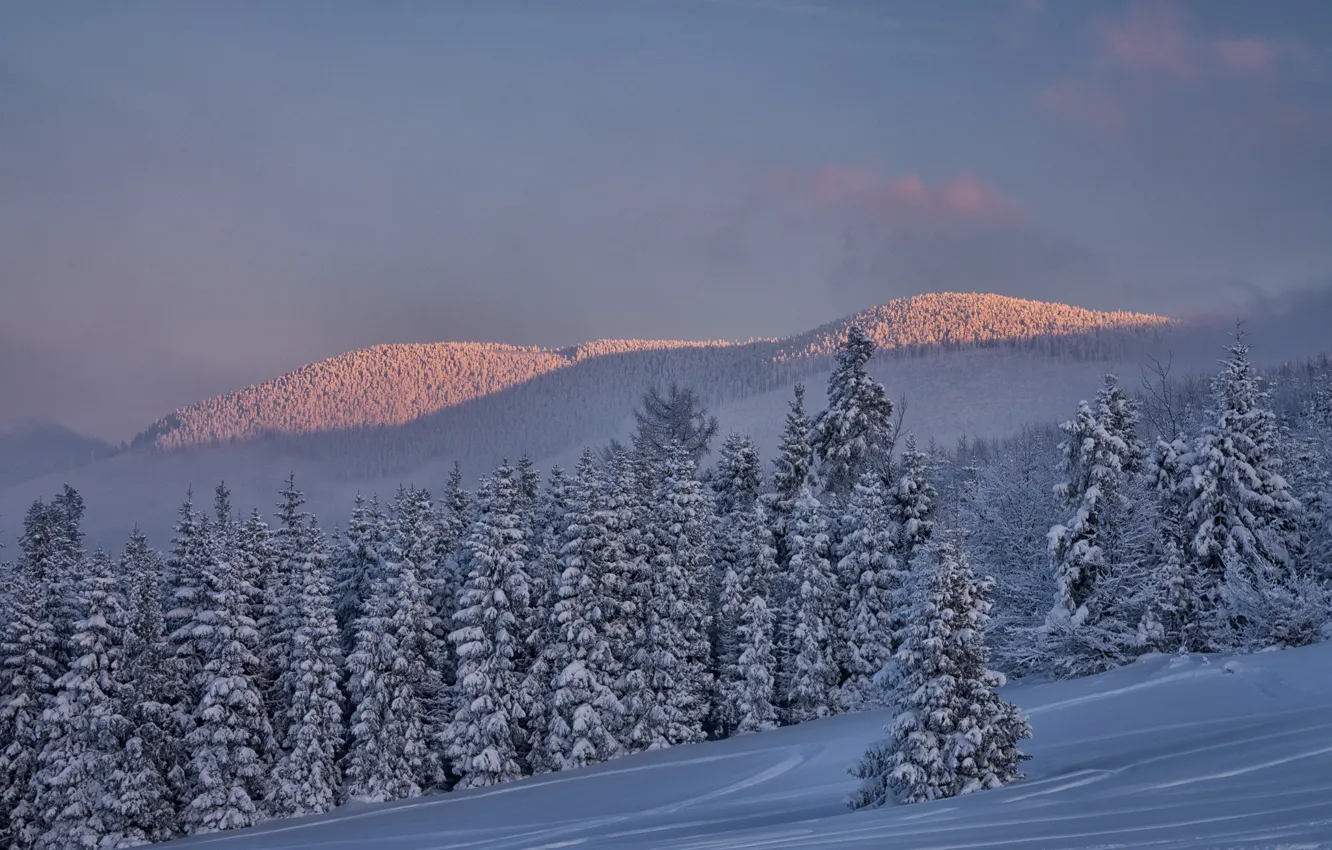 Photo wallpaper winter, snow, trees, landscape, sunset, mountains, nature, ate