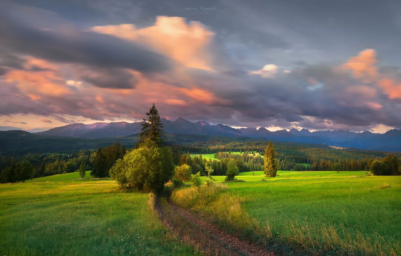 Photo wallpaper road, forest, landscape, mountains, clouds, nature, meadow