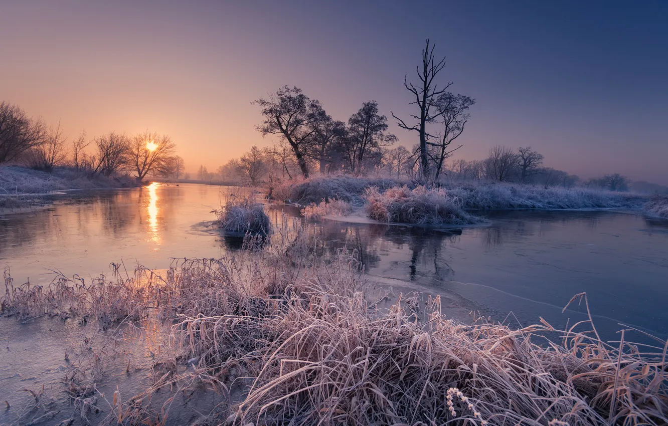 Photo wallpaper frost, autumn, trees, river, sunrise, dawn, morning, Robert Kropacz