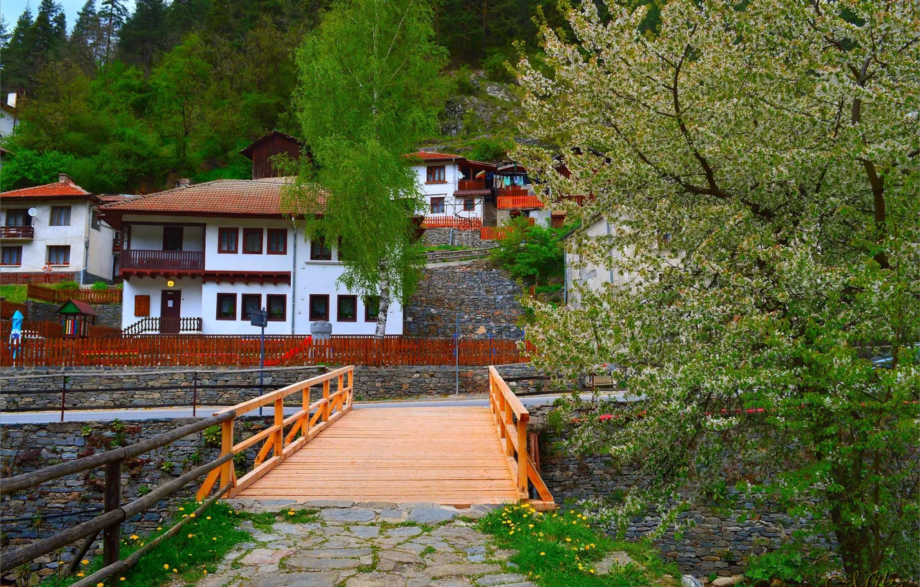 Photo wallpaper bridge, the city, bridge, Town