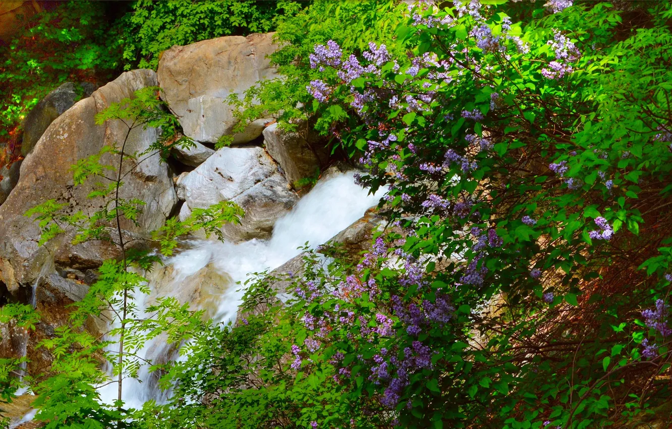 Photo wallpaper nature, rocks, waterfall, stream, spring, flowering, nature, lilac