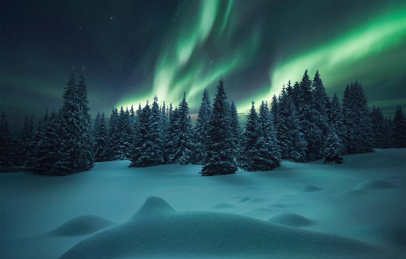Photo wallpaper winter, forest, snow, Northern lights, ate, the snow