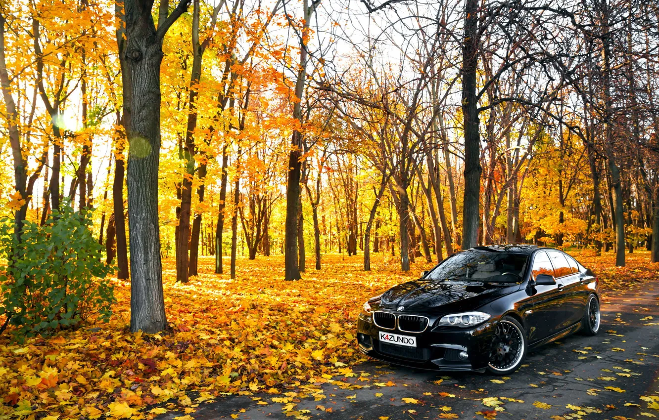 Photo wallpaper leaves, Autumn, BMW, BMW, black, Autumn, F10, 550X
