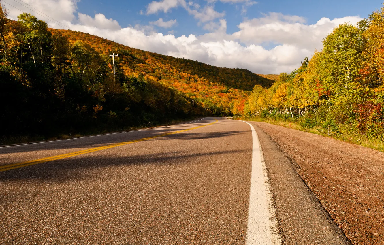 Photo wallpaper road, sand, autumn, forest, the sky, asphalt, the sun, clouds