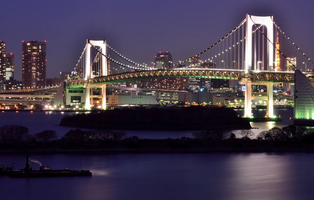 Photo wallpaper night, bridge, the city, river, lighting, Tokyo