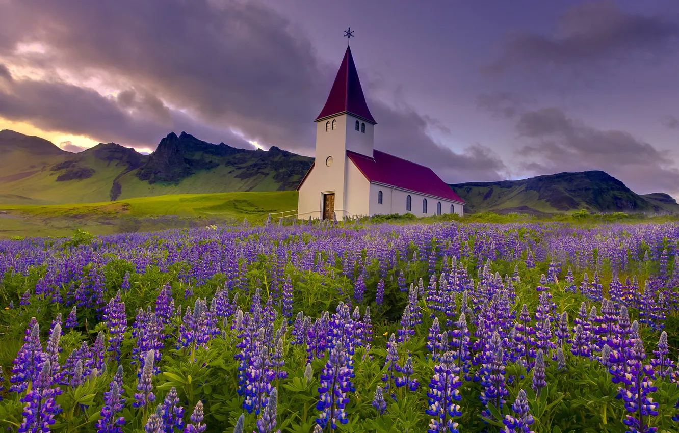 Photo wallpaper flowers, mountains, meadow, Church, lupins