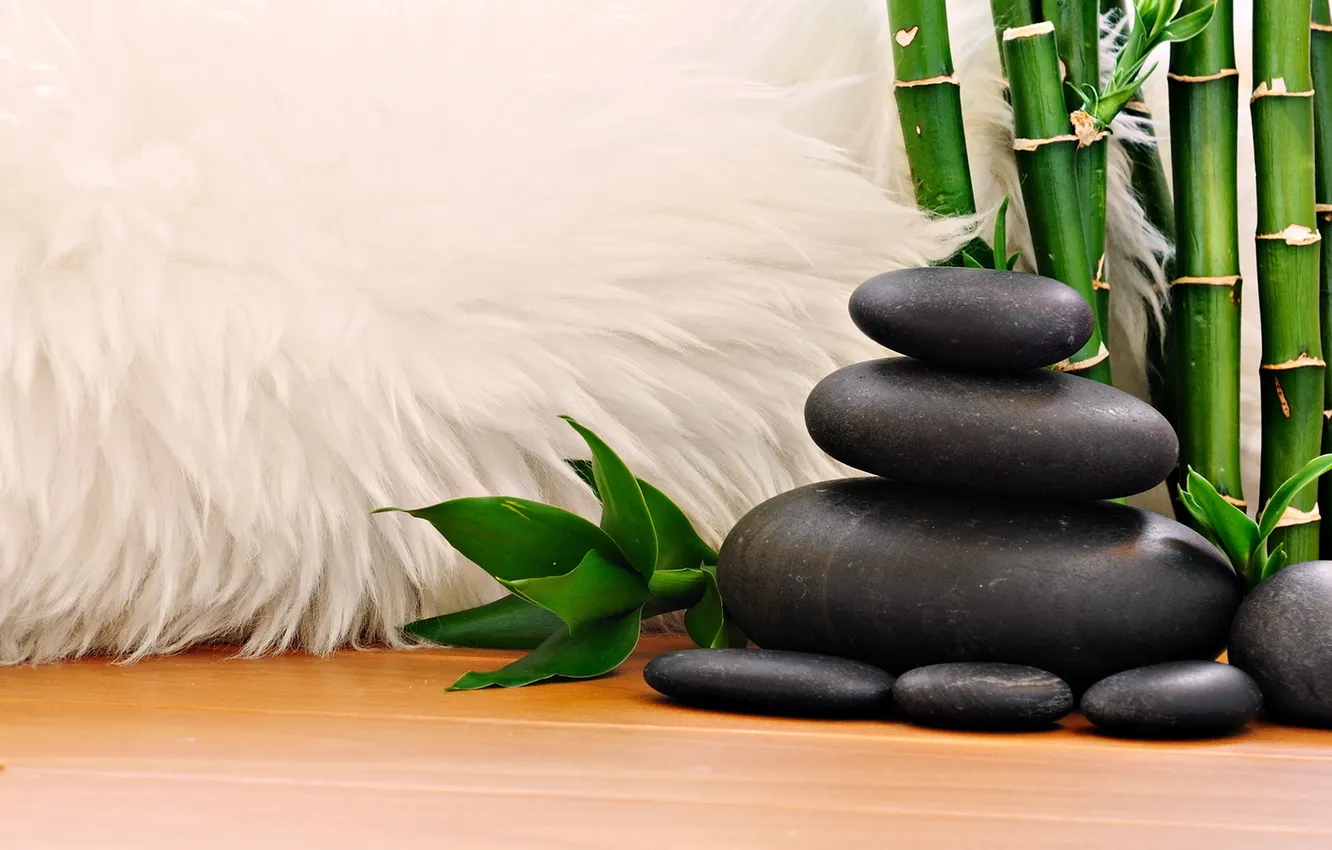 Photo wallpaper stones, jungle, seven stones..., white hairy